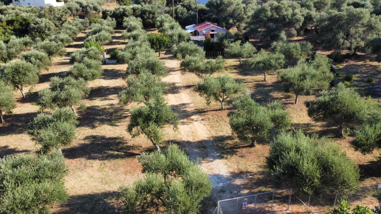 Olea Cottage Galatás Exterior foto